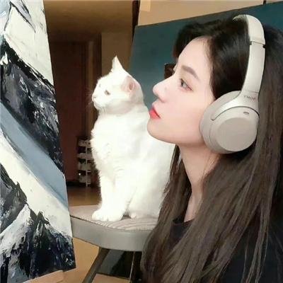 我在等月光落在我身上